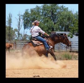 Me and Pep. You may have noticed the number of Reining Horse signs I have done.  This is my current riding discipline and here is a picture of me on my horse RB Peptoes Bandido completing a sliding stop.